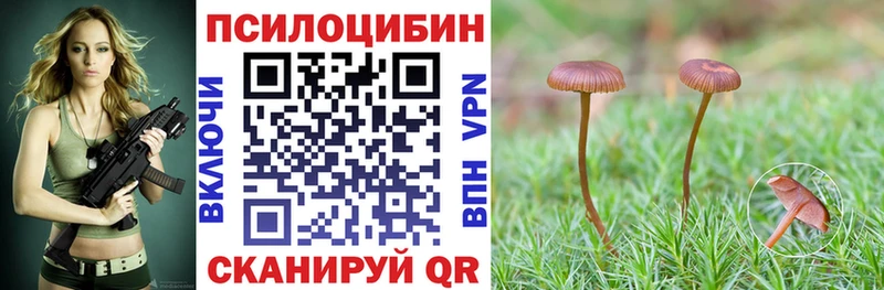 hydra онион  Березники  Псилоцибиновые грибы MAGIC MUSHROOMS  как найти закладки 